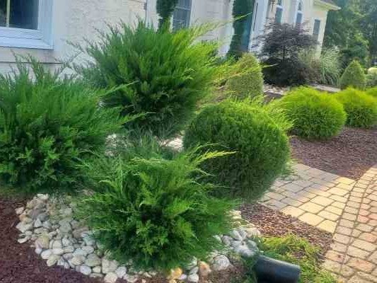 JVL Landscaping LLC