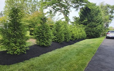 JVL Landscaping LLC